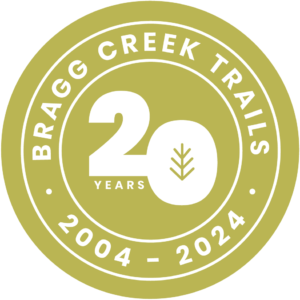 20 years Badge