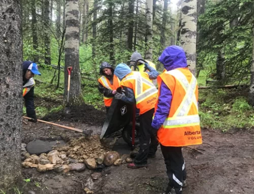 Volunteer Appreciation Week