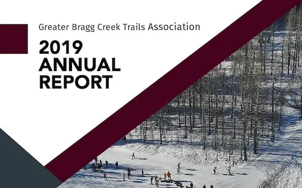 2019 Annual Report