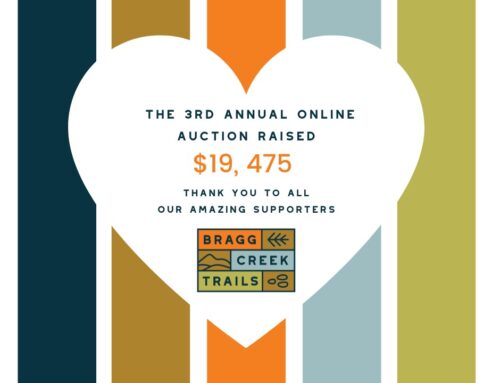 Online Auction a Huge Success!