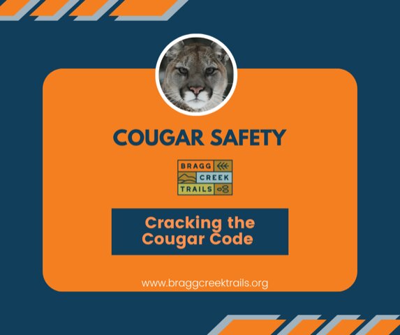 Cougar Safety Bragg Creek Trails