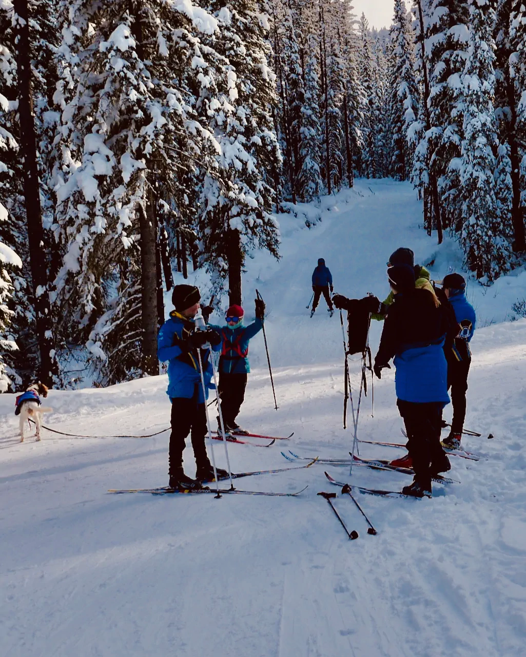 IMG_6859-1-1 cross country skier