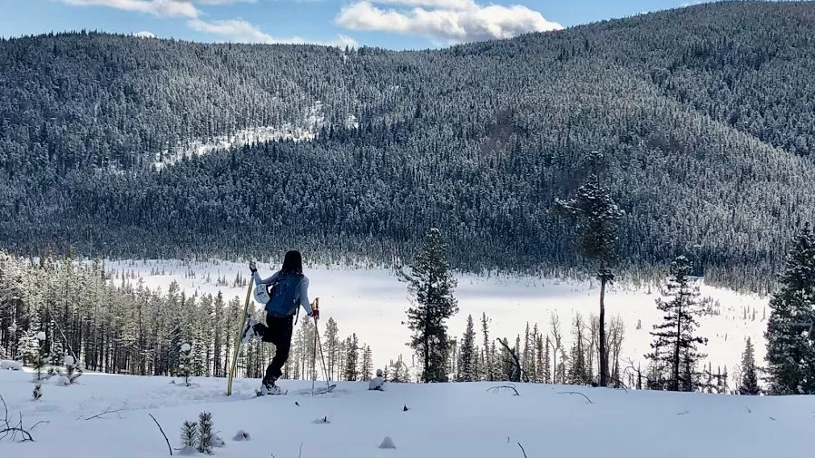 Piper-2 cross country skier