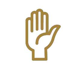 Right-to-participate hand up icon