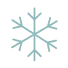 winter icon
