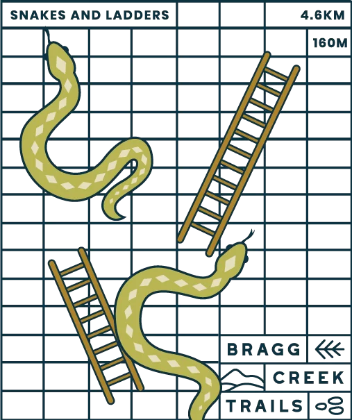 Snakes n' Ladders Badge