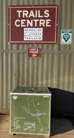 IMG_2382-e1610935022237