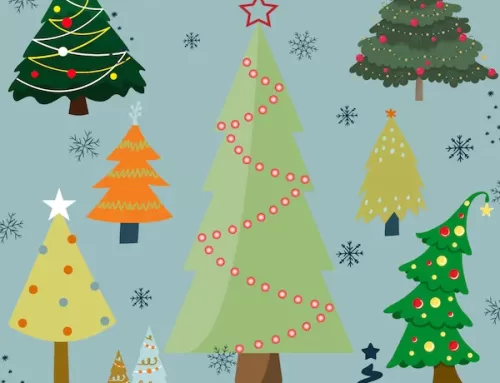 Harvesting Your Own Christmas Tree