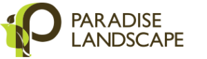 PARADISE LANDSCAPE