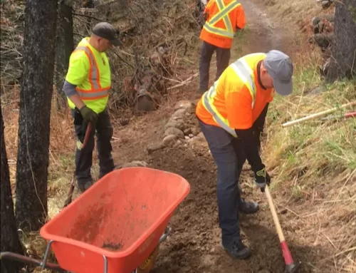 Summer Volunteering, Safety Milestones & BCT News!