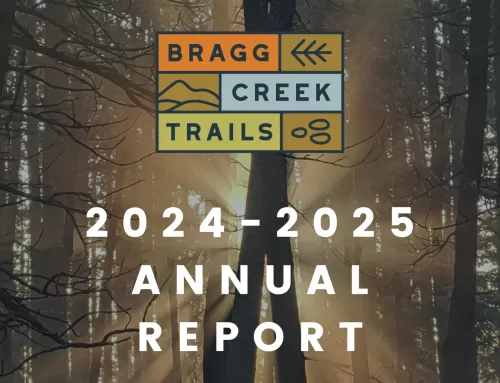 2024-2025 Annual Report