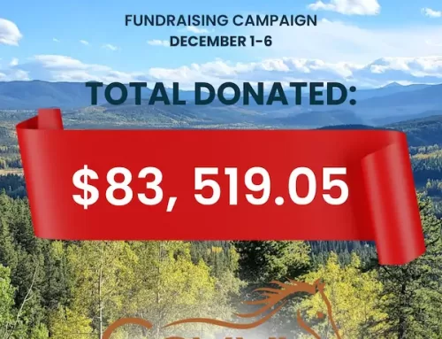 Triple Your Donation December 1–6 for Giving Tuesday