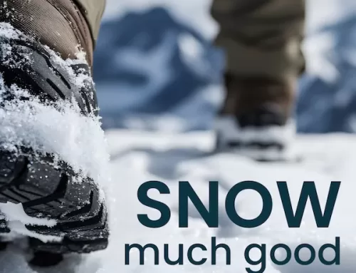 A Quick Guide to Snow: From Sky to Trail