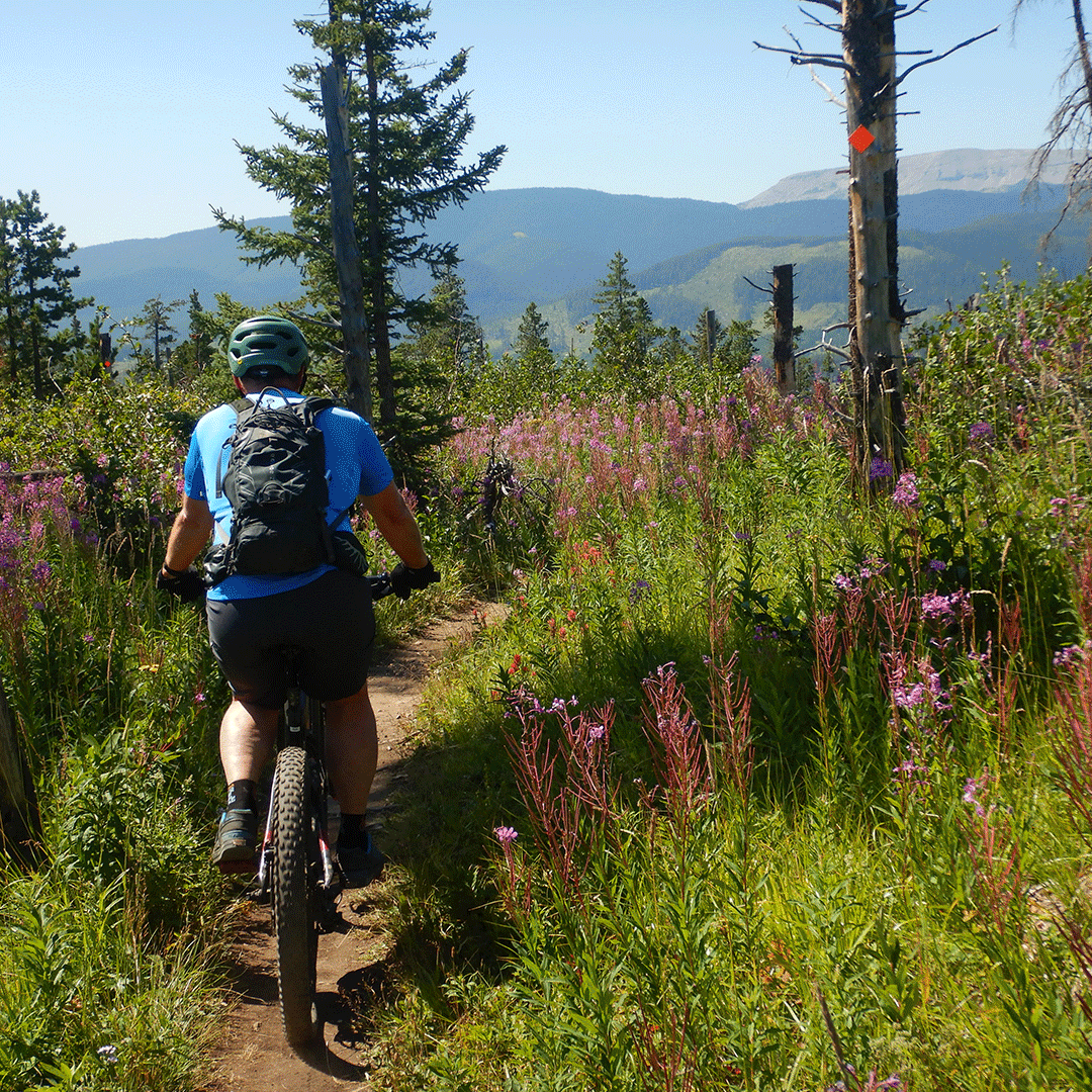 BCT-Animation-1 animated Gif showing Bragg Creek Trails Activities