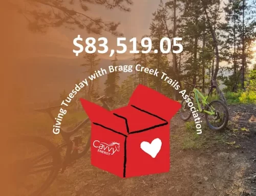 Happy New Year from the folks at BCT