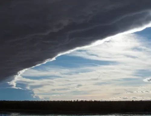 Chinooks: Love Them or Hate Them